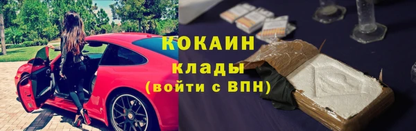 трава Кукмор