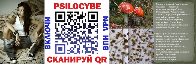 Галлюциногенные грибы прущие грибы  сколько стоит  Курлово 